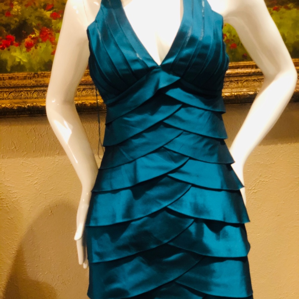 Cache dress - Picture 3 of 8